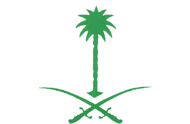 png-clipart-emblem-of-saudi-arabia-date-palm-miscellaneous-leaf-removebg-preview-1